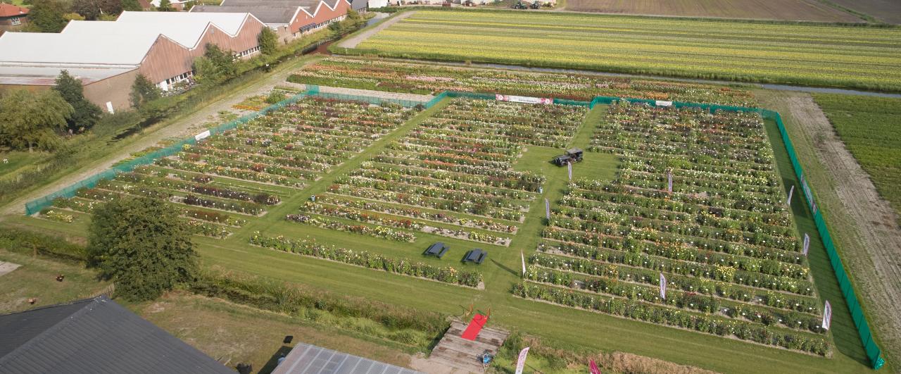 8eab93a4c529f1e034068851250d6763a21e2c4b 2 