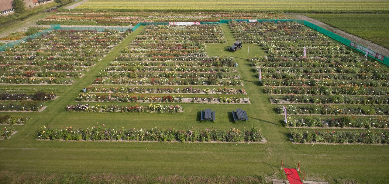 daecadd0c4024346bad5930e4a7d74d83f15ee62 2 