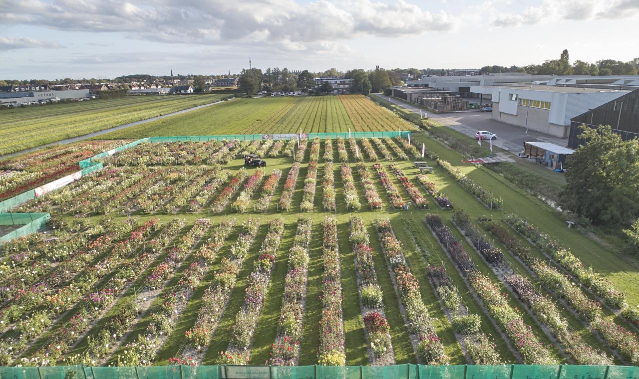 31536338bd3826889ba0bc9a5b3e6d730c6d5be1