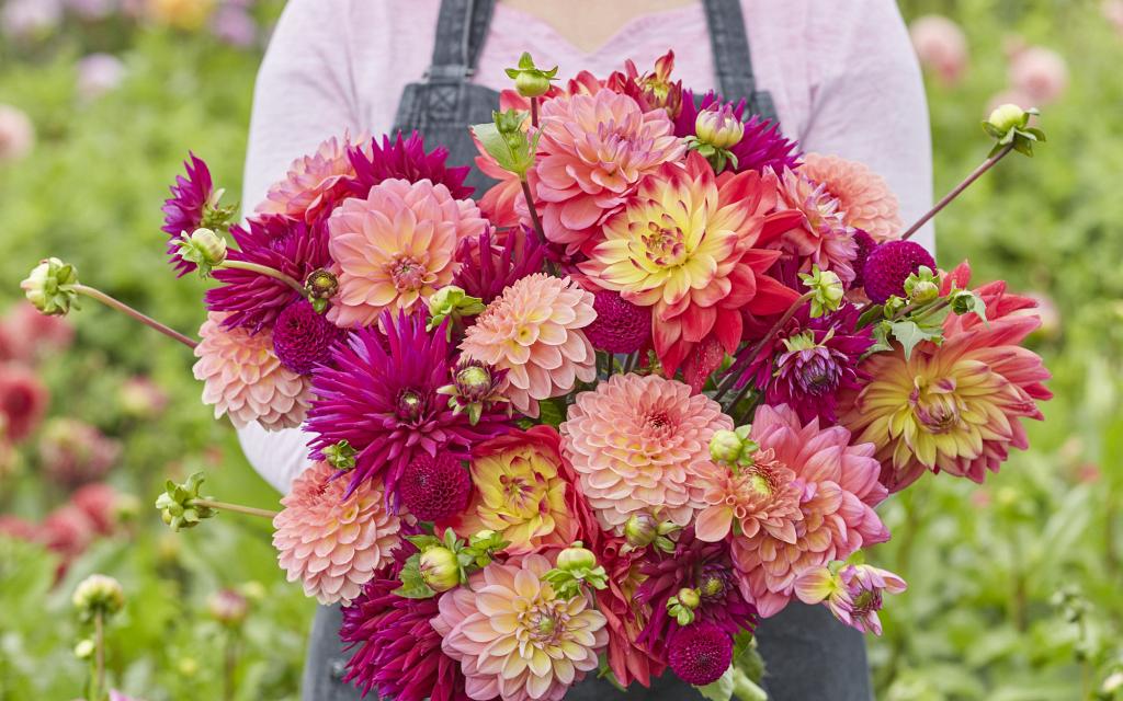 b14eb420886ae2b0b4cdfa59da4c56e956893fd1 1 