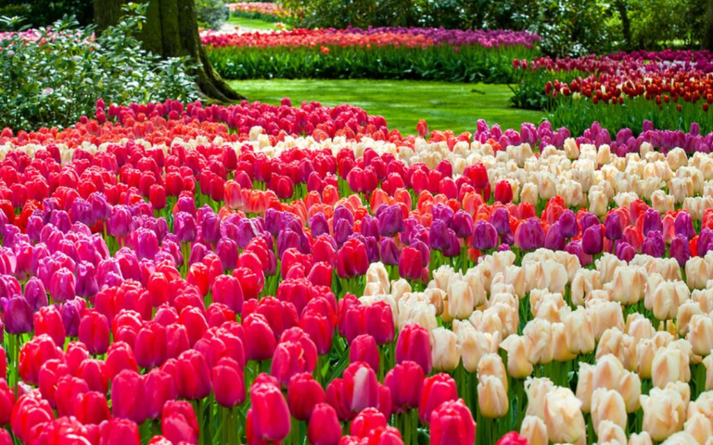 f6c2881b982eec0ab4483b90a4b7839f2f23b6a8