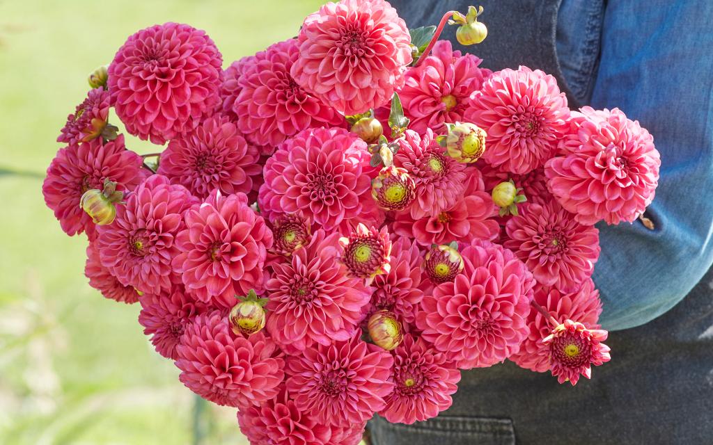 f6c48c13101b1cdf4ad6168112f618fb1d6a9c73