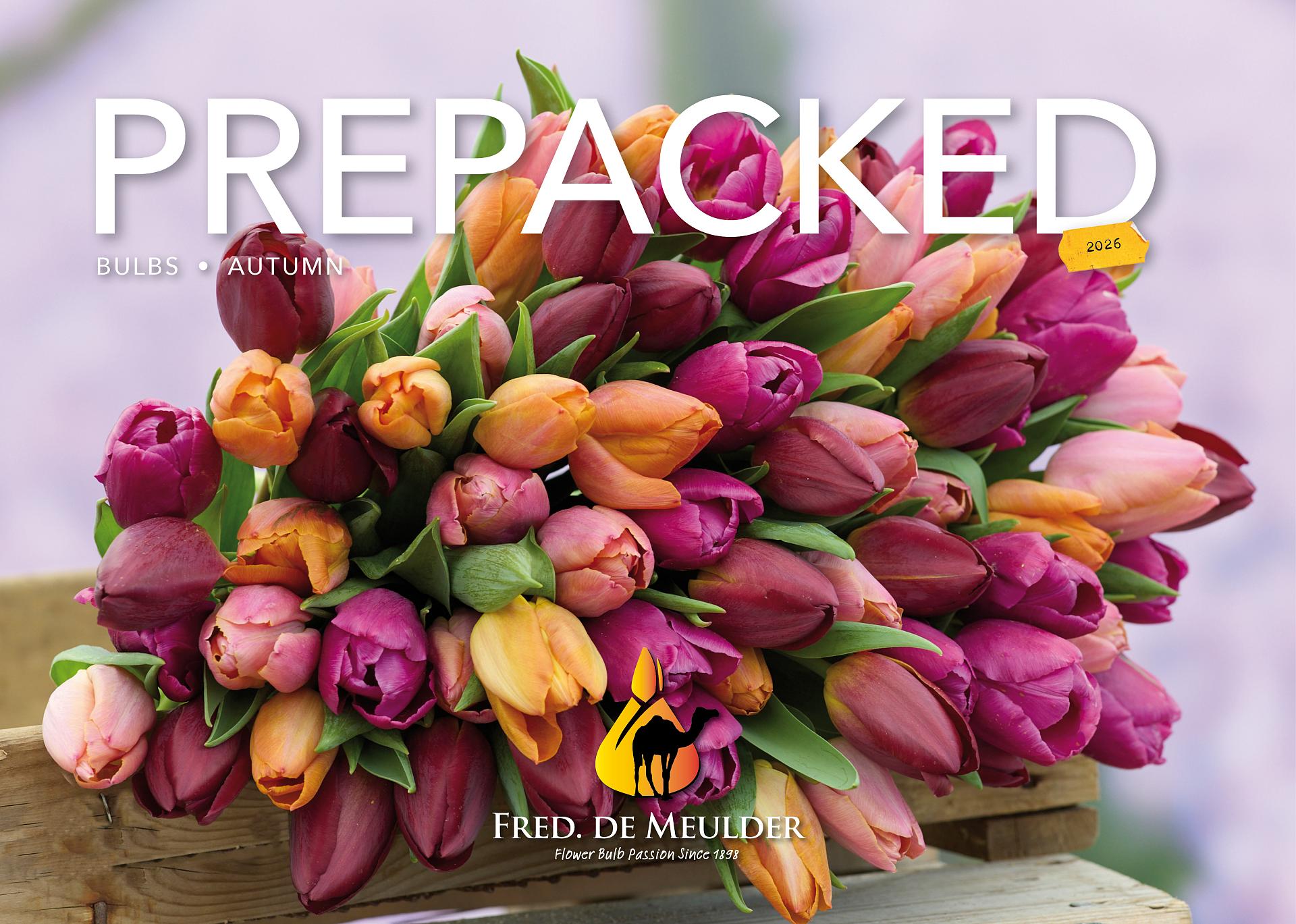 festival catalogus autumn26 new vz