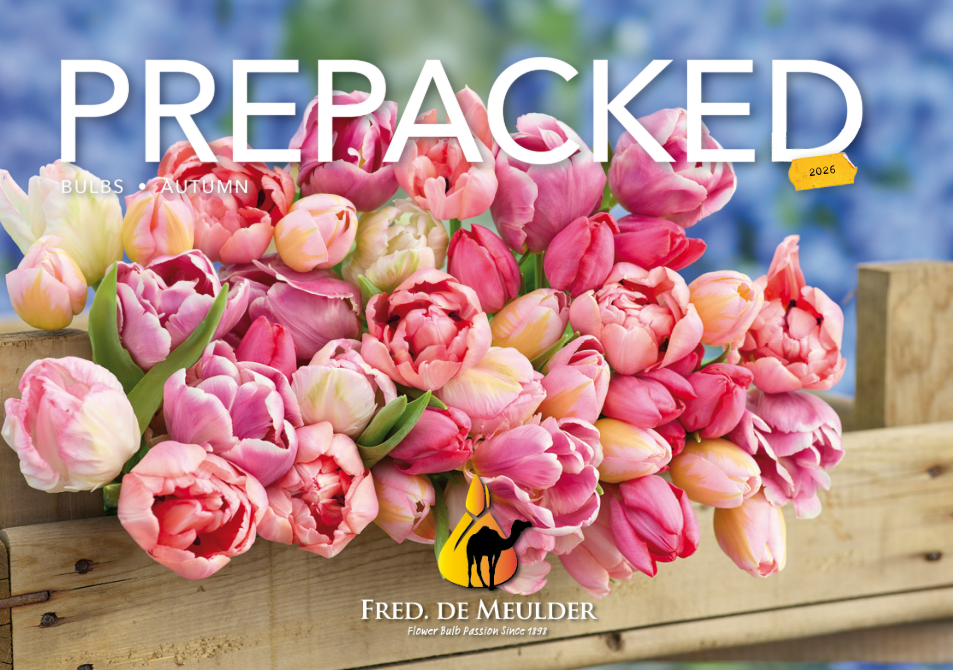 catalogue prepacked autumn