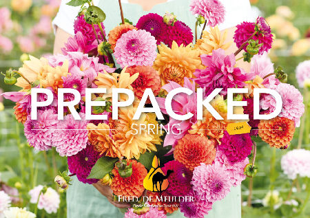 prepacked spring