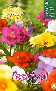 Freesia Mixed Double 5/+ (x14x10) (Summer)
