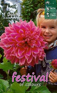 Festival Winter Dahlia Dinnerplate Dahlia Emory Paul I (x14x1)