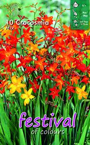 Festival Winter Miscellaneous Crocosmia Kleinbloemig Gemengd 6/+ (x14x10)