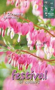 Festival Spring Perennials Dicentra Spectablis 2/3 (x14x1)