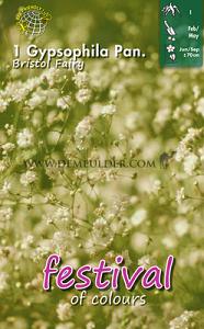 Festival Winter Perennials Gypsophila Bristol Fairy I (x14x1)