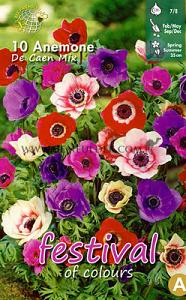 Pre-packed Anemone De Caen Mixed 7/8 (x14x10)