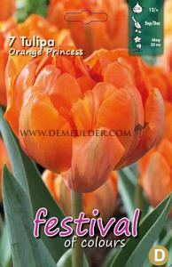 Tulips Orange Princess 12/+ (x12x7)