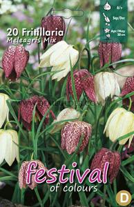 Fritillaria Meleagris 6/+ (x12x20)