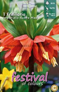 Fritillaria Rubra Maxima 20/22 (x12x1)