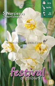 Narcissus Cheerfulness 14/16 (x8x5)