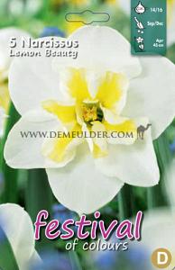 Narcissus Lemon Beauty 14/16 (x8x5)