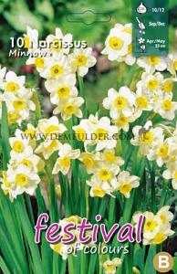 Narcissus Minnow 10/12 (x12x10)