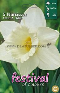 Narcissus Mount Hood 14/16 (x8x5)