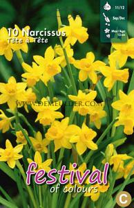 Narcissus Tete a Tete 11/12 (x12x10)