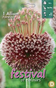 Allium Forelock 14/+ (x12x1)