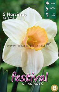 Narcissus Salomé 14/16 (x8x5)