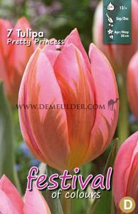 Tulips Pretty Princess 12/+ (x12x7)