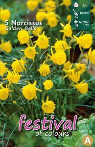Narcissus Golden Bells 6/+ (x12x5)