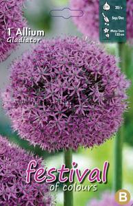 Allium Gladiator 20/+ (x12x1)