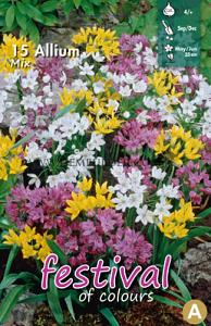 Allium Low Mixed 4/+ (x12x15)
