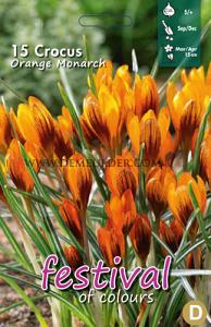 Crocus Orange Monarch 5/+ (x12x15)