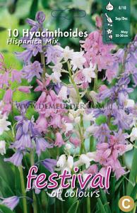 Hyac. Hispanica Mixed 8/10 (x12x10)