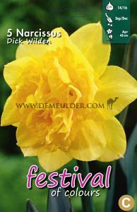 Narcissus Dick Wilden 14/16 (x8x5)