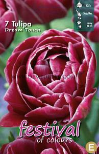 Tulips Dream Touch 11/12 (x12x7)