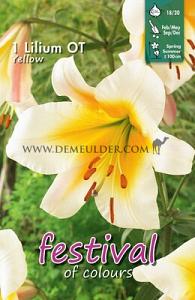 Pre-packed Lilium Yellow 16/18 (x14x1)