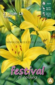 Pre-packed Lilium La Yellow 16/18 (x14x2)