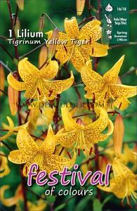 Festival Spring Lilium Lilium Yellow Tiger 16/18 (x14x1)