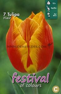 Tulips Flair 12/+ (x12x7)