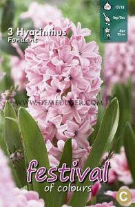 Hyacinths Fondant 17/18 (x10x3)