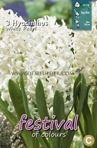 Hyacinths White Pearl 17/18 (x10x3)