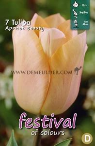 Tulips Apricot Beauty 12/+ (x12x7)