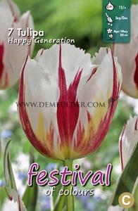 Tulips Happy Generation 12/+ (x12x7)