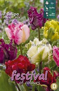 Tulips Parrot Mixed 12/+ (x12x7)