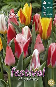 Tulips Greigii Mixed 12/+ (x12x7)