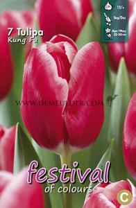 Tulips Kung Fu 12/+ (x12x7)