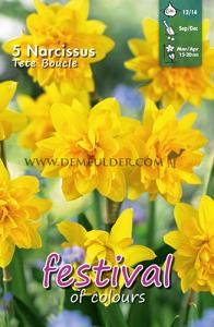 Narcissus Tete Boucle 12/14 (x12x5)