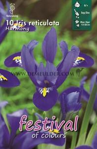 Iris Harmony 6/+ (x12x10)