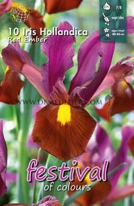 Iris Red Ember 7/8 (x12x10)