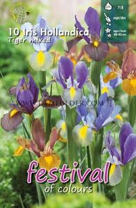 Iris Tiger Mixed 7/8 (x12x10)