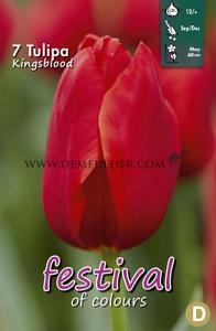 Tulips Kingsblood 12/+ (x12x7)