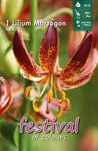 Pre-packed Lilium Martagon Red 16/18 (x14x1)